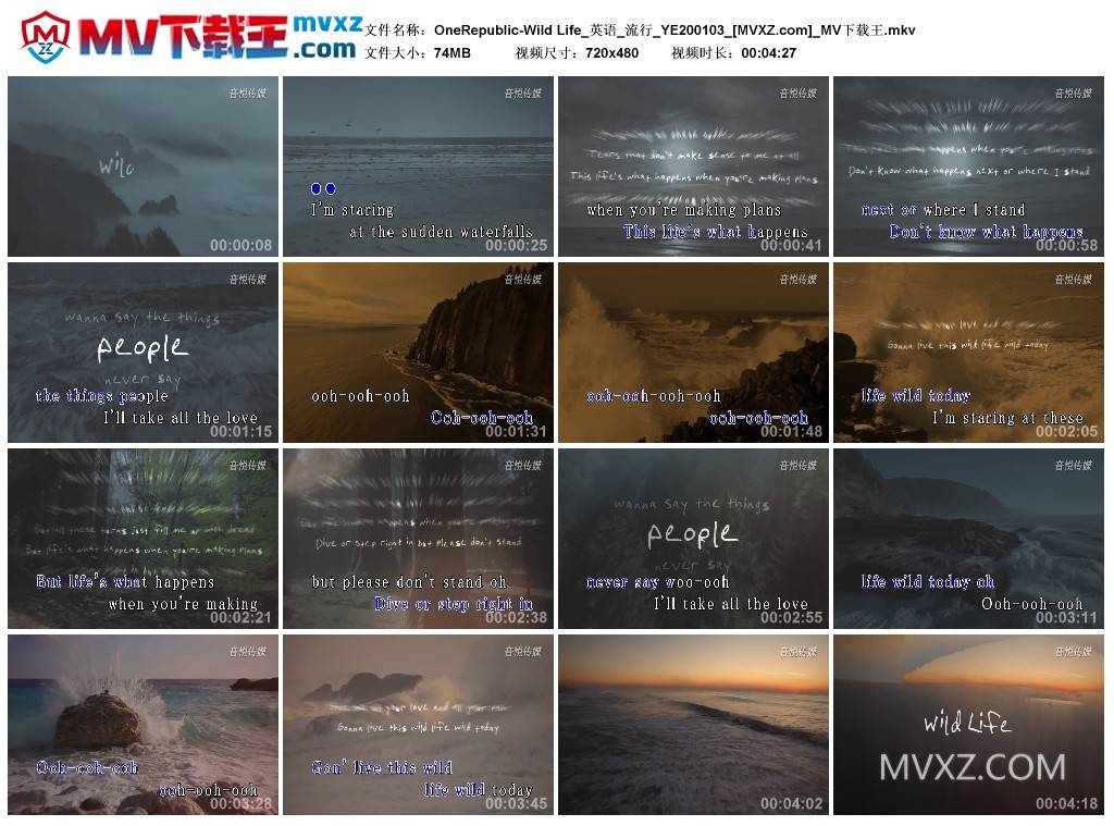 OneRepublic-Wild Life_英语_流行_YE200103